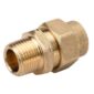 Mipt Brass Male Adapter.jpg